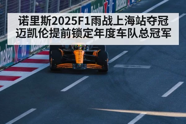 Lando Norris McLaren